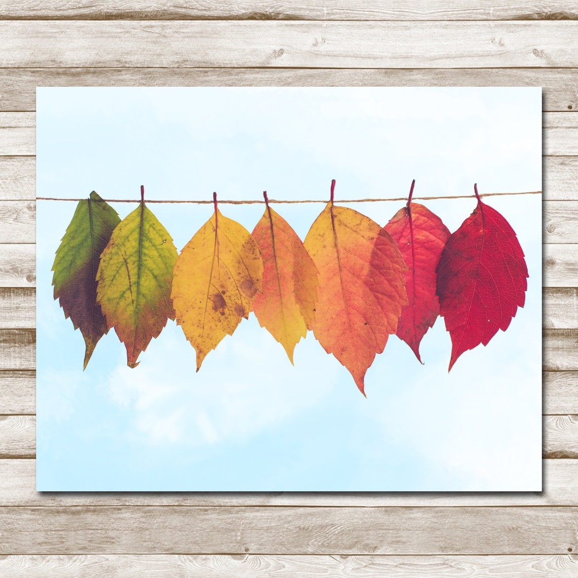 Autumn Leaves Gradient String Blue Sky Fall Photography Poster - Image 4