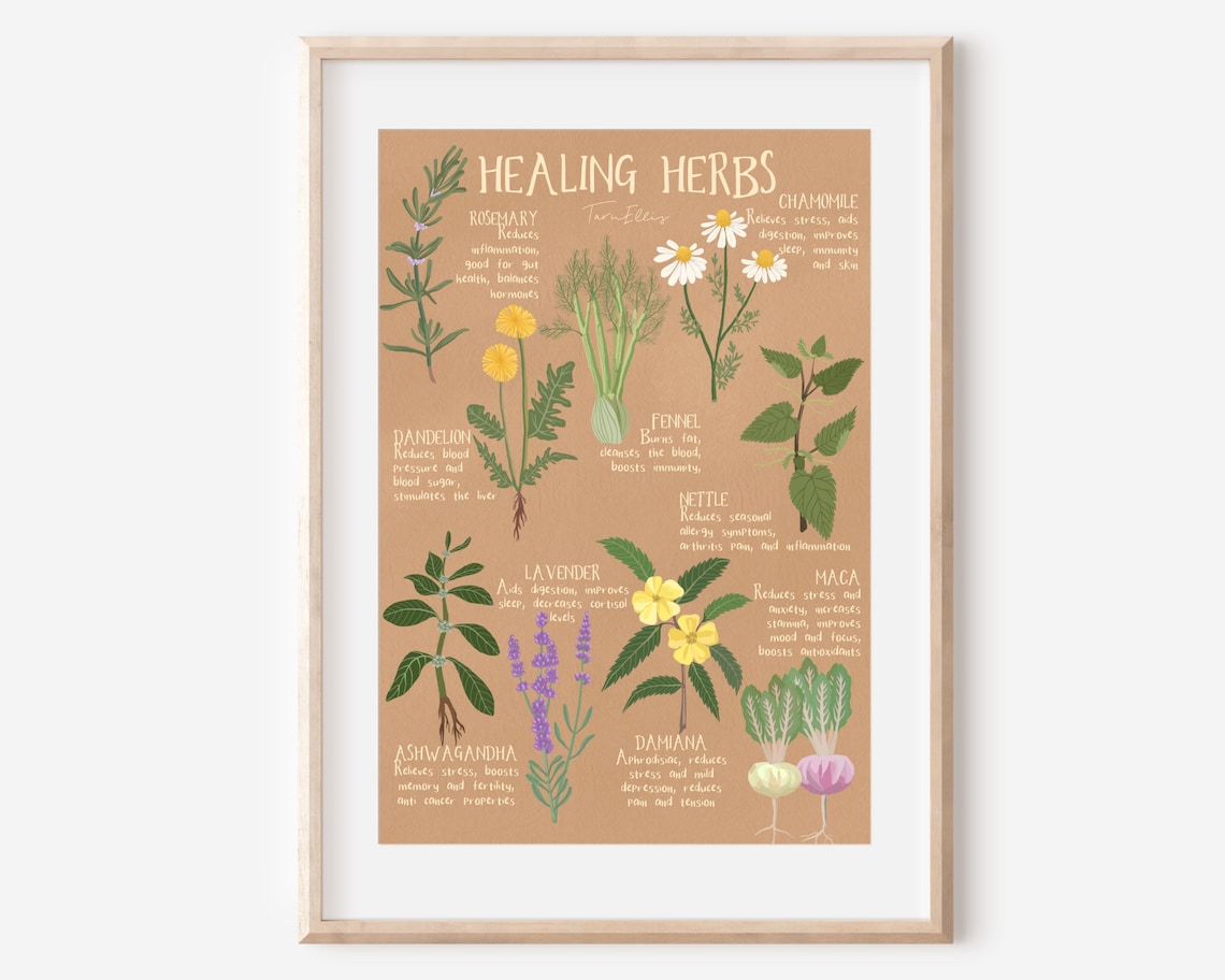 Healing Herbs Botanical Art Print, Boho Kitchen Decor