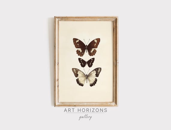 Three Butterfly Wall Art Sketch Vintage Neutral Farmhouse Home Decor Antique Animal Drawing Moody Rustic Insect Cottagecore A411