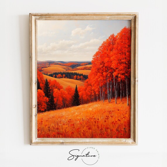 Scarlet Birch Grove on Rolling Golden Hills in Peak Autumn Color Wall Art