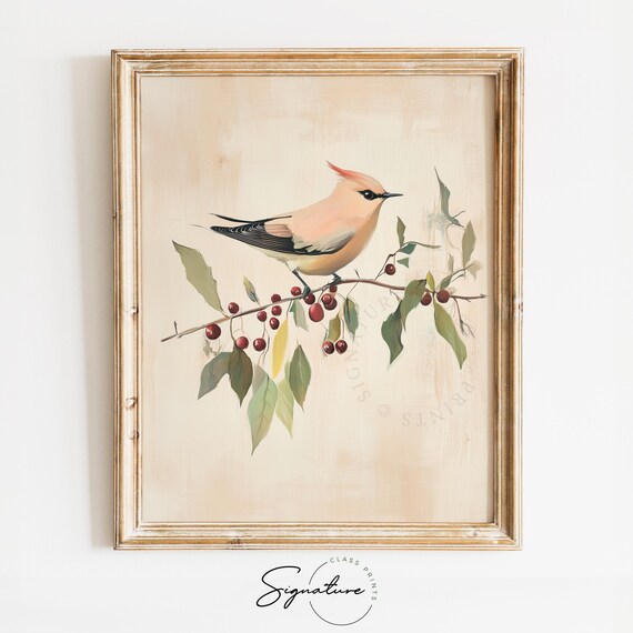 Waxwing Bird Berry Branch Cream Vintage Minimalist Bird Painting Poster