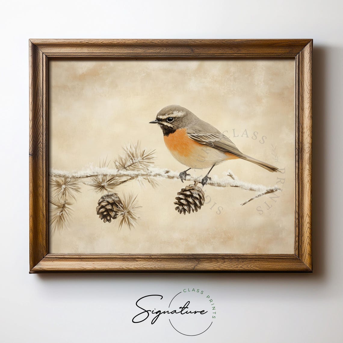 Common Redstart With Snowy Pinecones Rustic Winter Bird Poster - Image 5