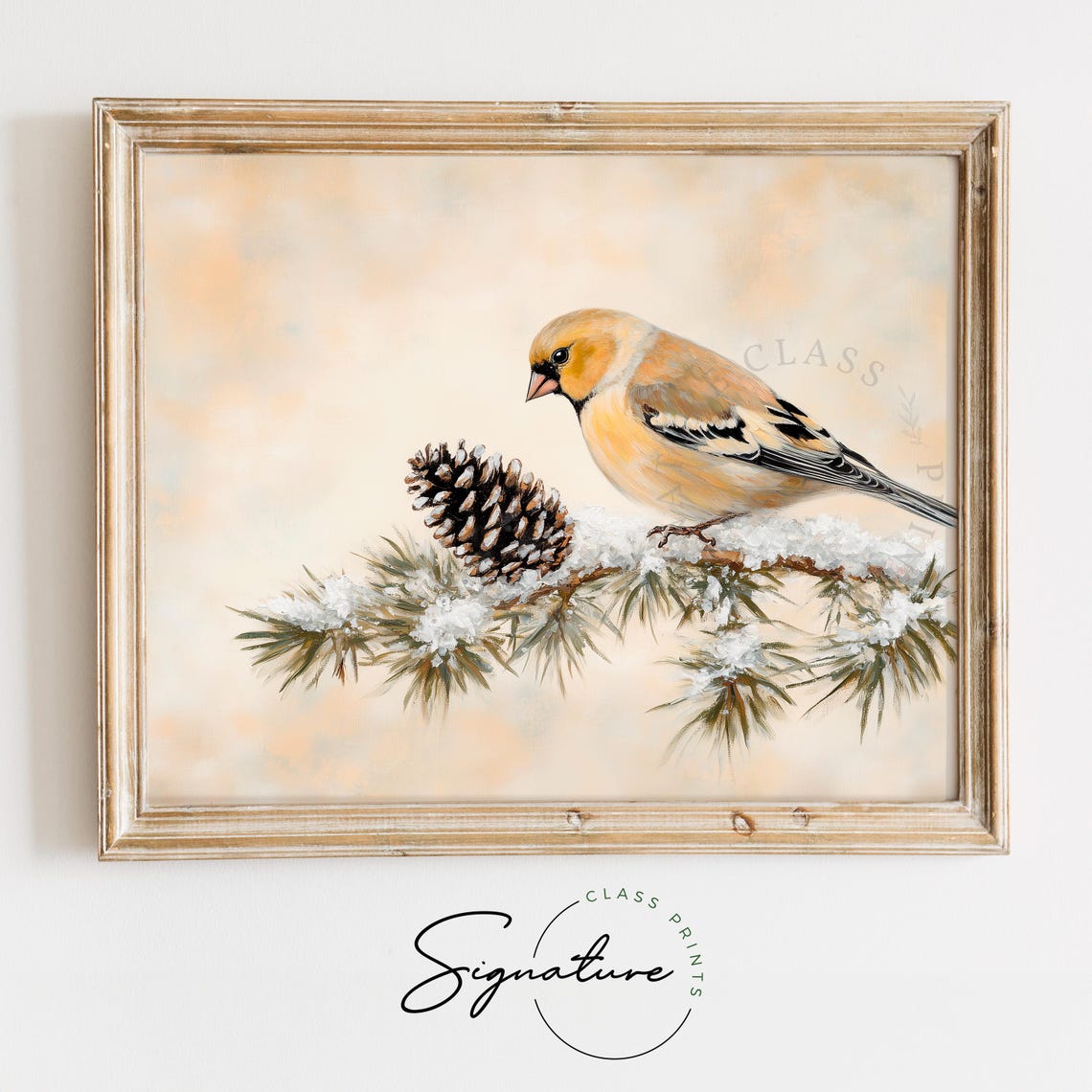 American Goldfinch Beside Pinecone on Snowy Branch Bird Poster