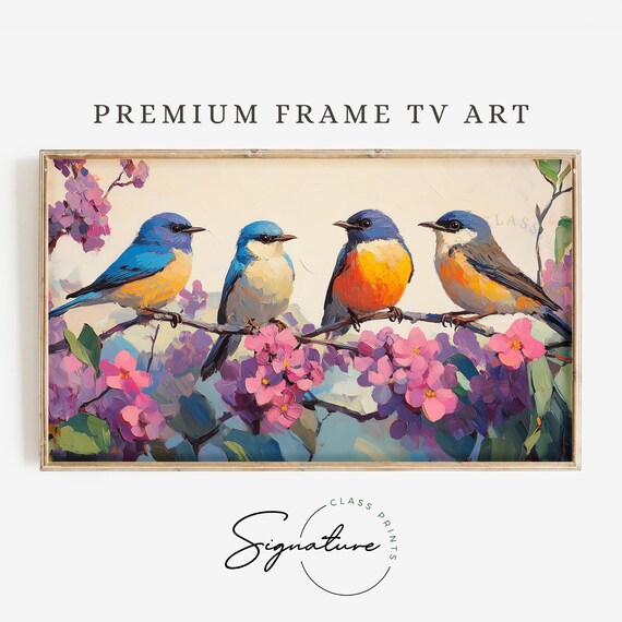Four Warblers On Blossoming Branch Spring Bird Frame Art Print