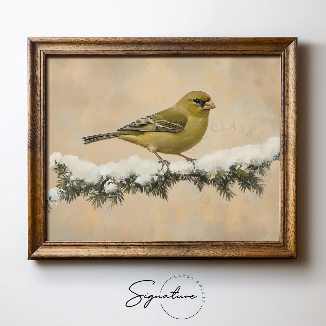 Soft Greenfinch on Snowy Cedar Branch Winter Bird Painting Poster - Image 5