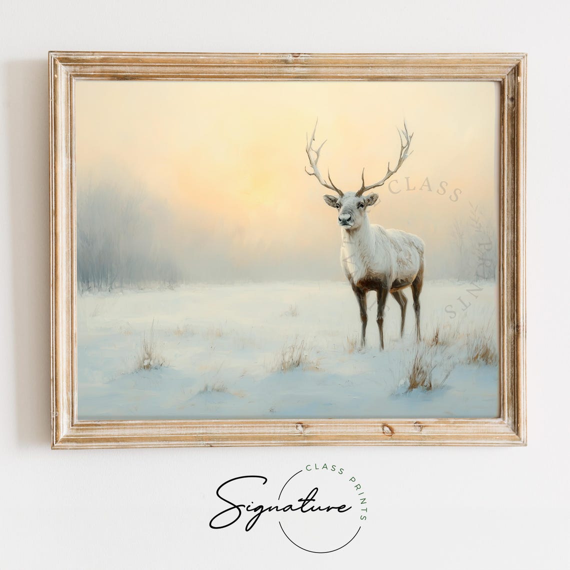 White Stag Standing in Snowy Field at Sunrise Winter Wildlife Poster