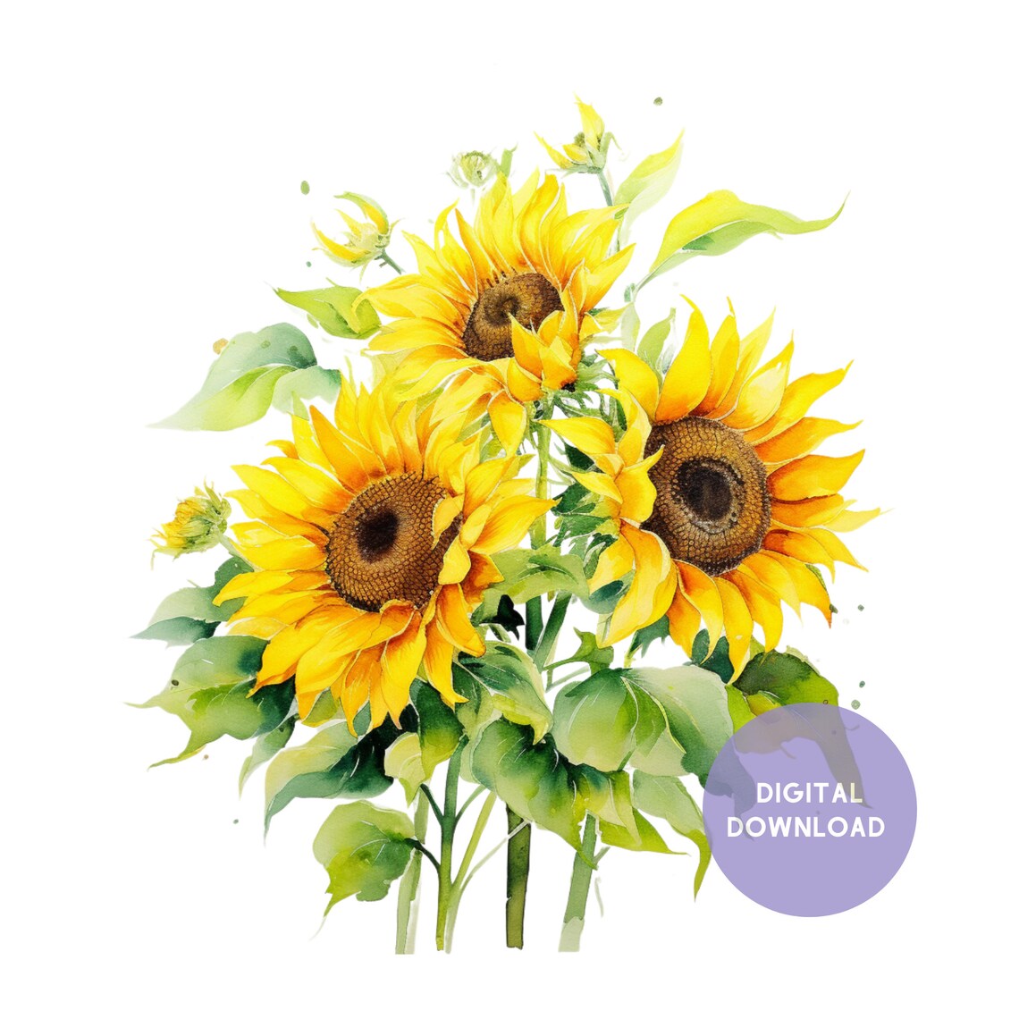 Sunflowers Watercolor Art Print, Floral Botanical