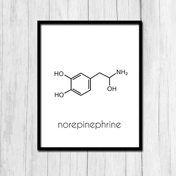 Minimalist Norepinephrine Molecule Chemical Structure Poster