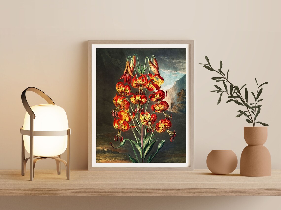 Vintage Fire Lily Botanical Flower Art Print - Image 2