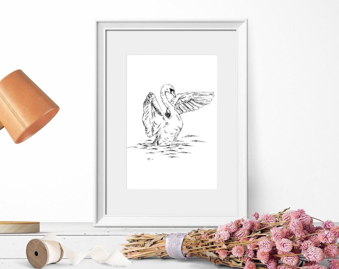 Black and White Swan Drawing Art Print