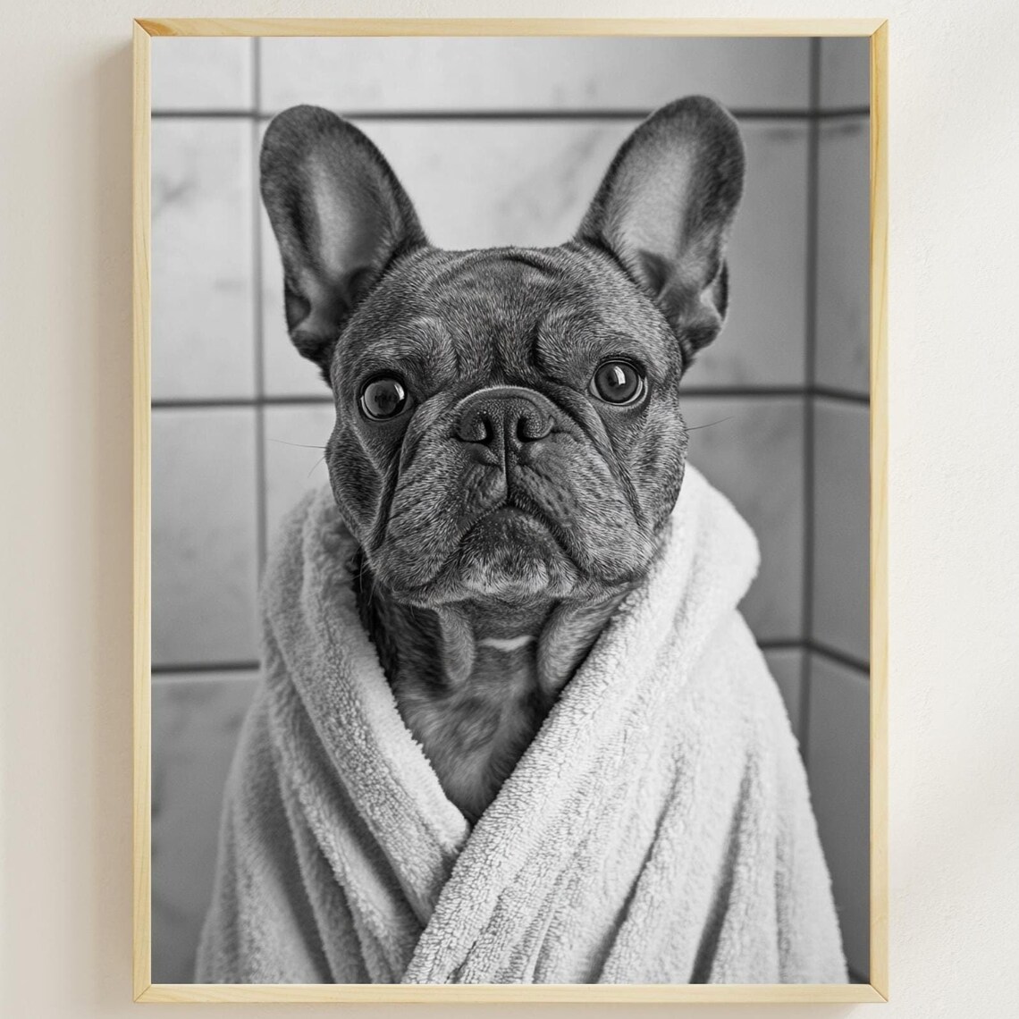 French Bulldog in White Towel Black and White Funny Bathroom Poster