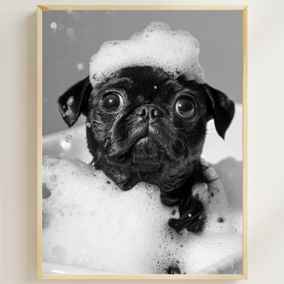 Black Pug in a Bubble Bath With a Foam Hat Black and White Poster