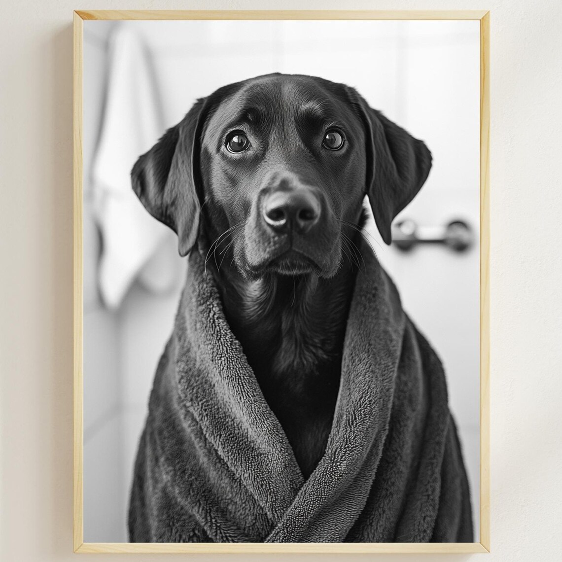 Black Labrador Wrapped In Towel After Bath Dog Portrait Poster