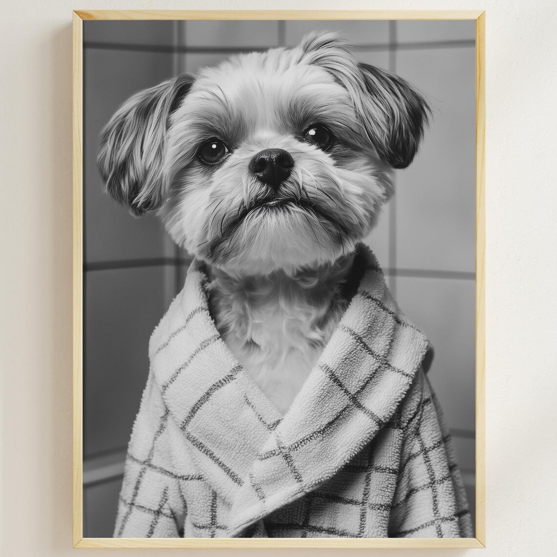 Shih Tzu Puppy in Plaid Bathrobe Black White Funny Pet Poster