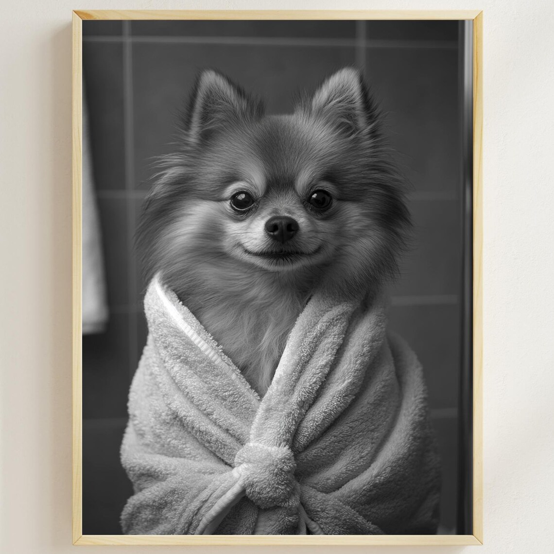Pomeranian Wrapped In A Bathrobe Monochrome Vintage Bathroom Poster