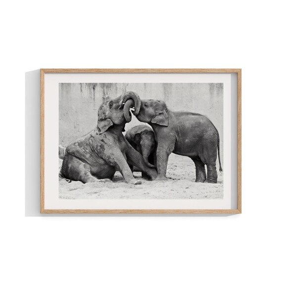 Elephants Fine Art Print, African Wildlife Photography