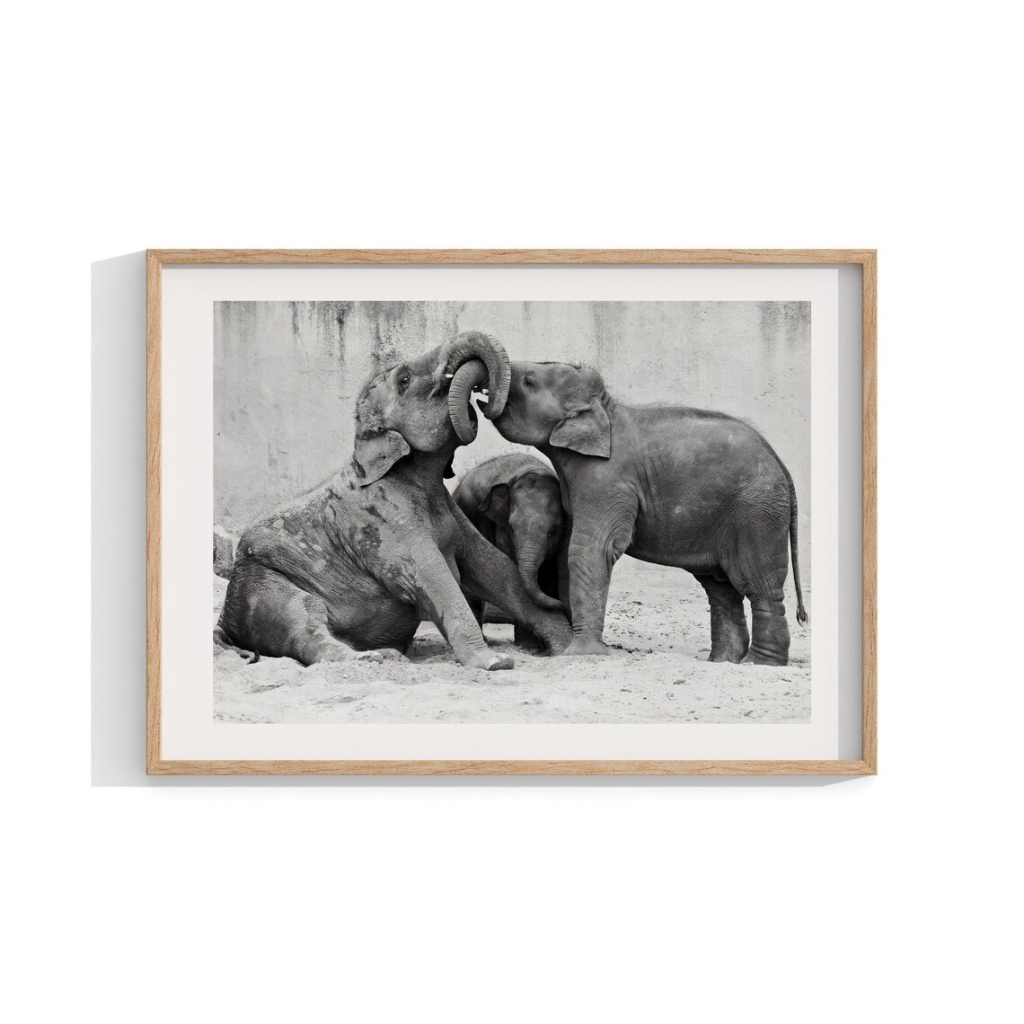 Elephants Fine Art Print, African Wildlife Photography