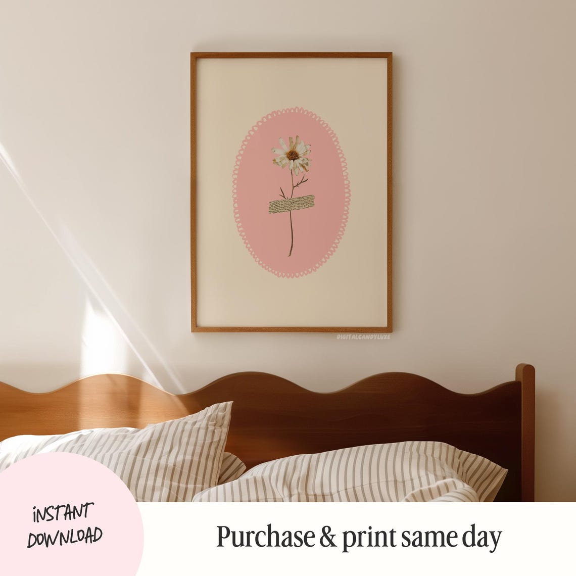Pressed Daisy Flower Pink Oval Vintage Botanical Decor Poster - Image 2