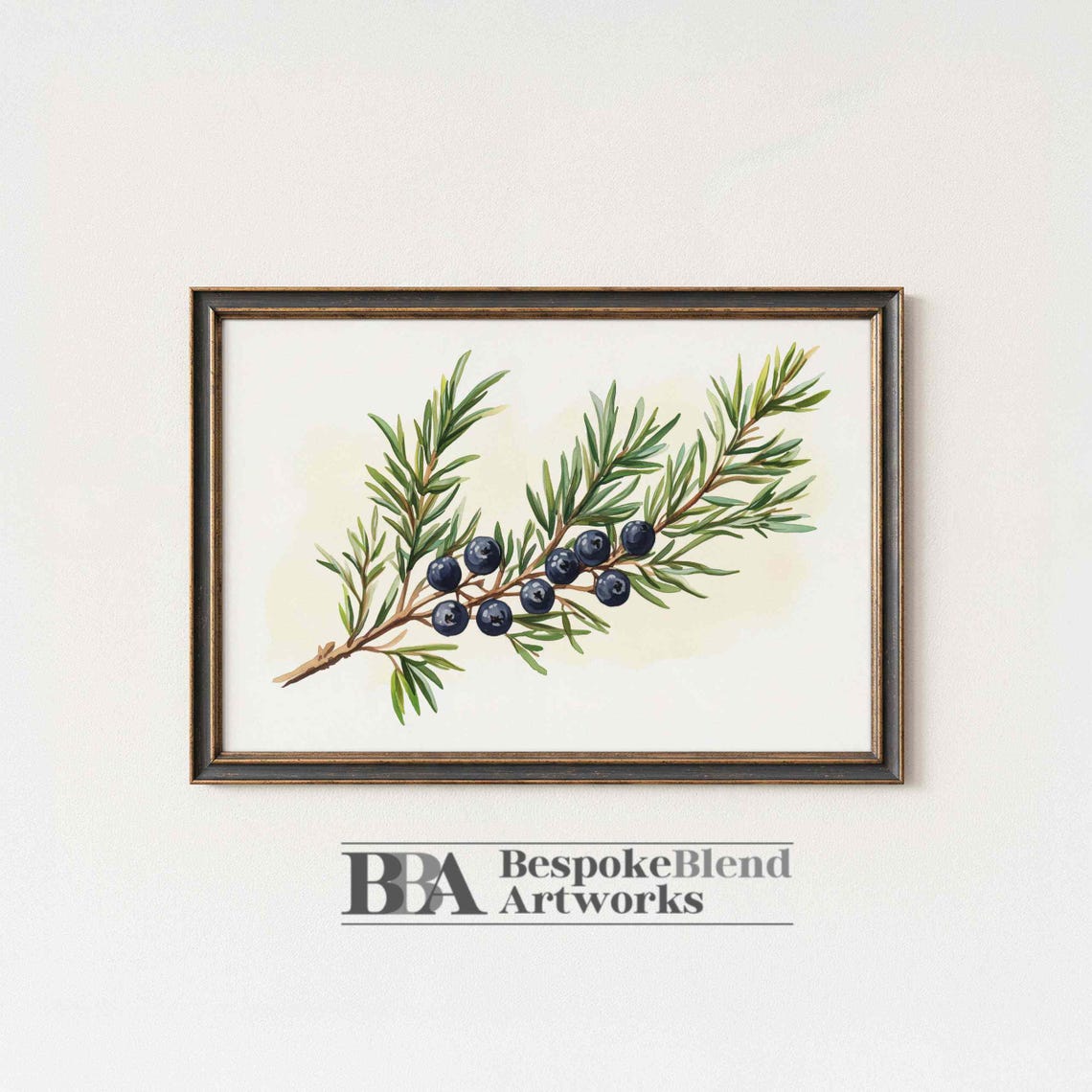Juniper Berry Branch Watercolor Botanical Herb Garden Art Poster