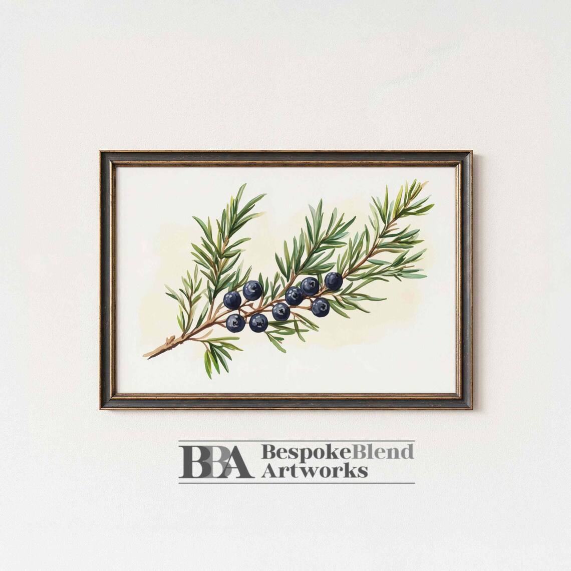 Juniper Branch With Dark Berries Watercolor Botanical Kitchen Art Poster