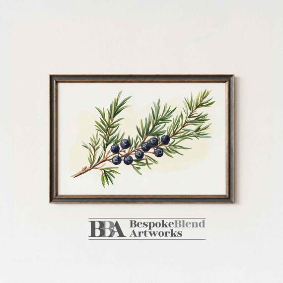 Botanical Wall Art Juniper Branch Watercolor Print Kitchen Herb Decor Bar Cart Neutral Greenery Cottage Style