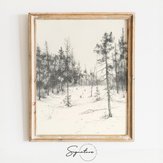 Quiet Sparse Pine Trees In Snowy Winter Forest Sketch Poster Art