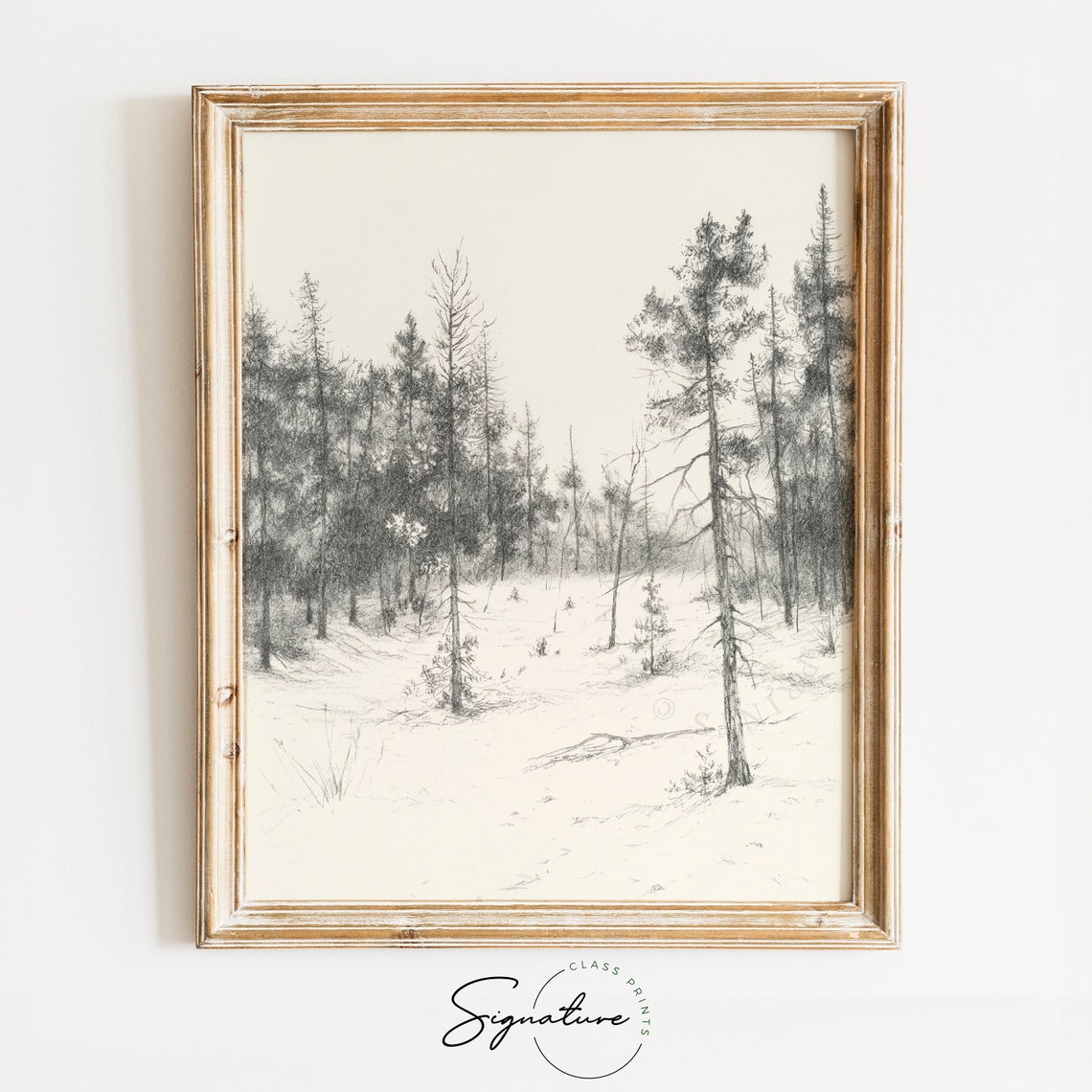 Quiet Sparse Pine Trees In Snowy Winter Forest Sketch Poster Art