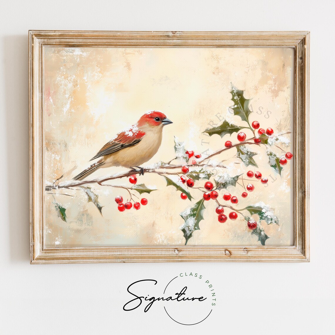 Rosy House Finch With Snowy Branches And Red Holly Winter Print