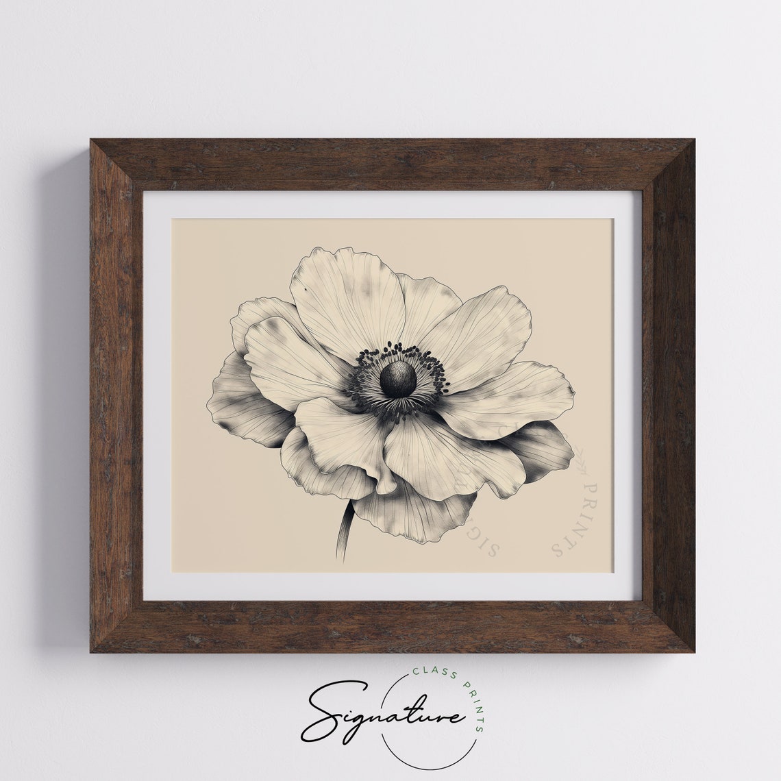 White Anemone Bloom Close Up Delicate Botanical Sketch Art Poster - Image 5