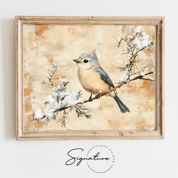 Tufted Titmouse On Snowy Winter Branch Soft Vintage Bird Painting Poster