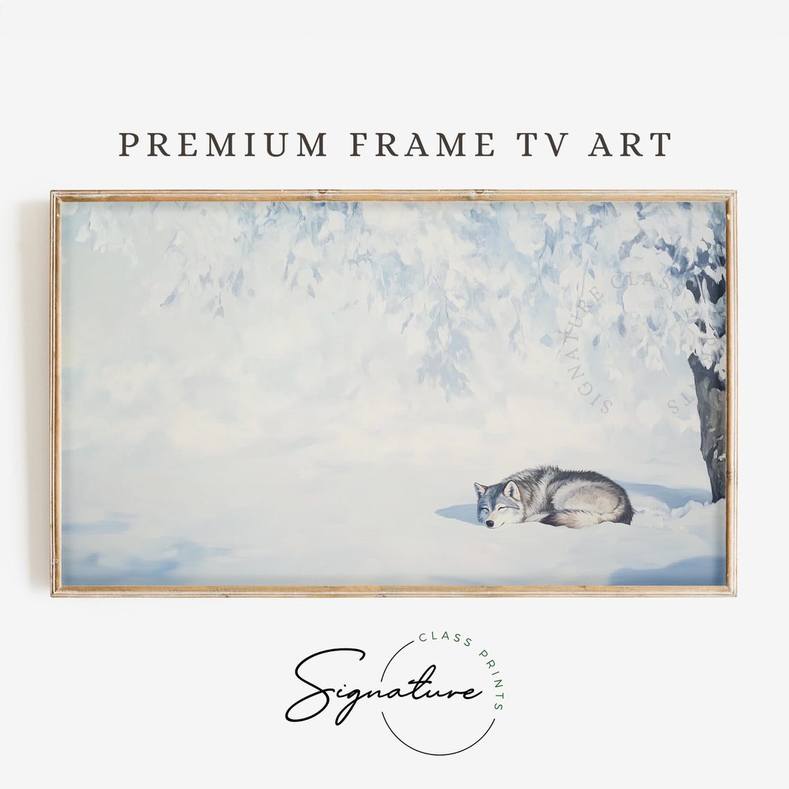 Sleeping Grey Wolf in Snow Under Winter Pines Wildlife Poster