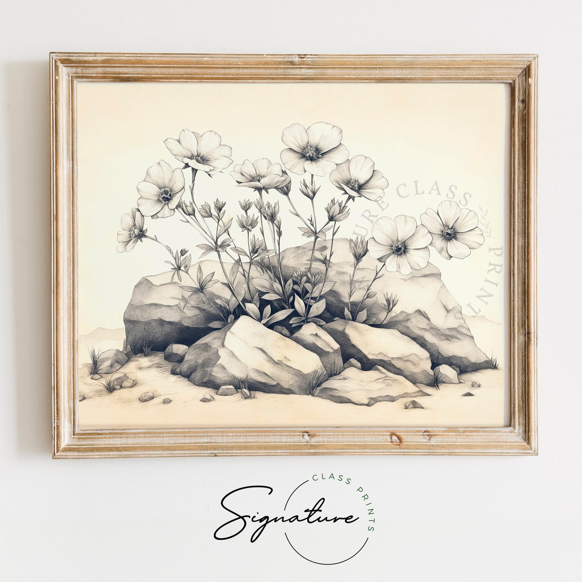 Wildflowers Among Rocks Grayscale Vintage Engraving Style Poster