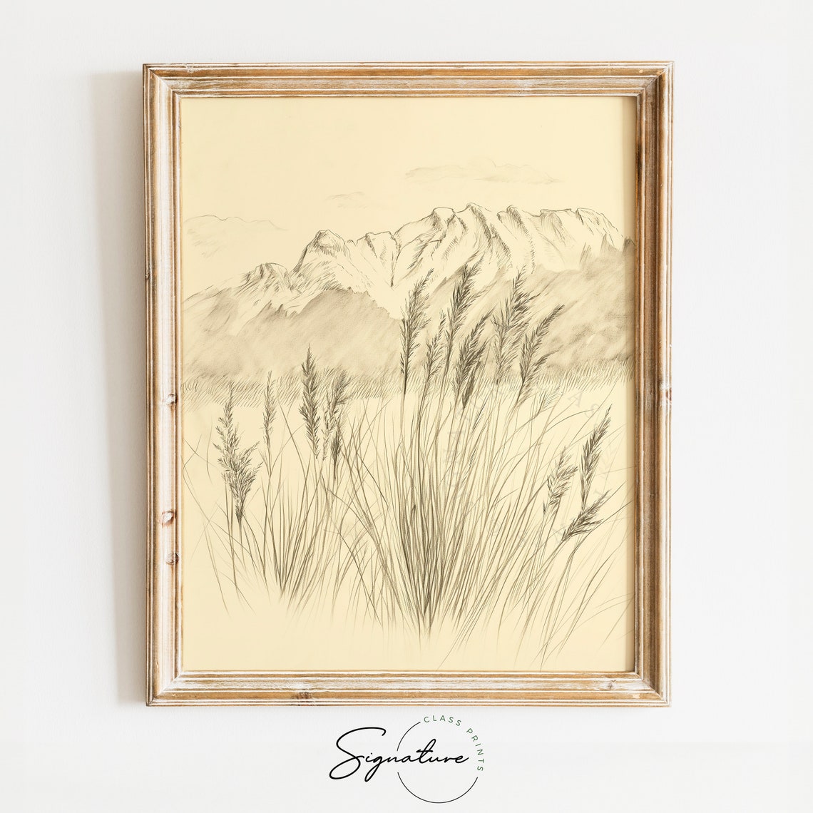 Wild Grasses Before Snow Capped Mountains Sepia Sketch Poster