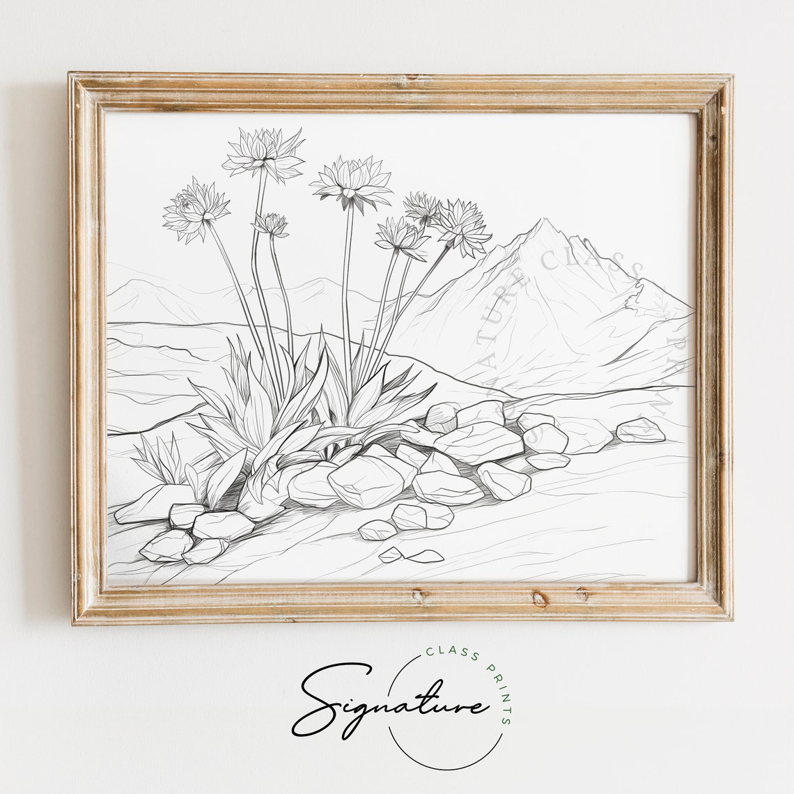 Alpine Wildflowers Line Drawing on Rocky Mountain Slope Poster