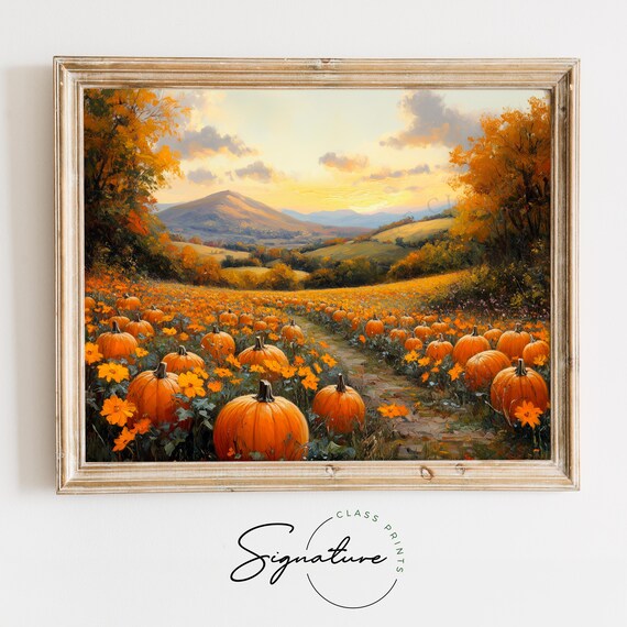 Pumpkin Patch Field Full of Ripe Pumpkins at Golden Sunset Poster