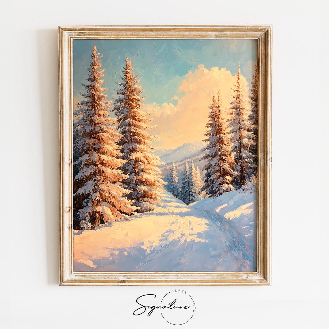 Sunlit Snowy Cedars in Warm Morning Light Winter Forest Poster