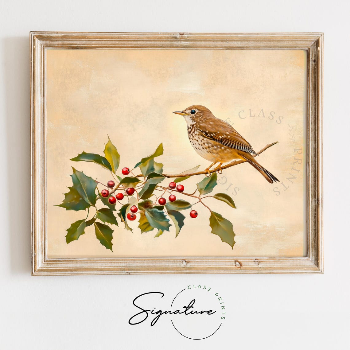 Hermit Thrush on Holly Branch Red Berries Vintage Bird Poster