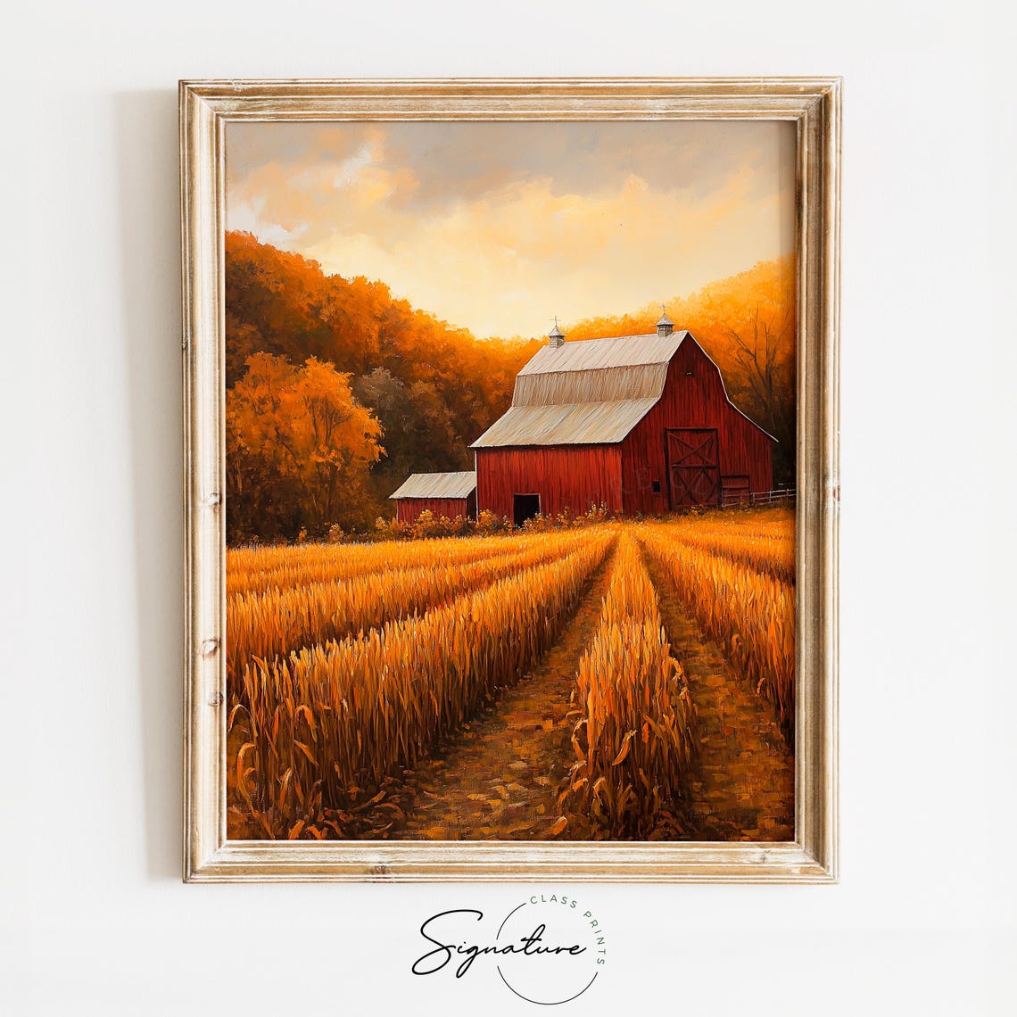 Classic Red Barn At Sunset Golden Autumn Wheat Harvest Field Print