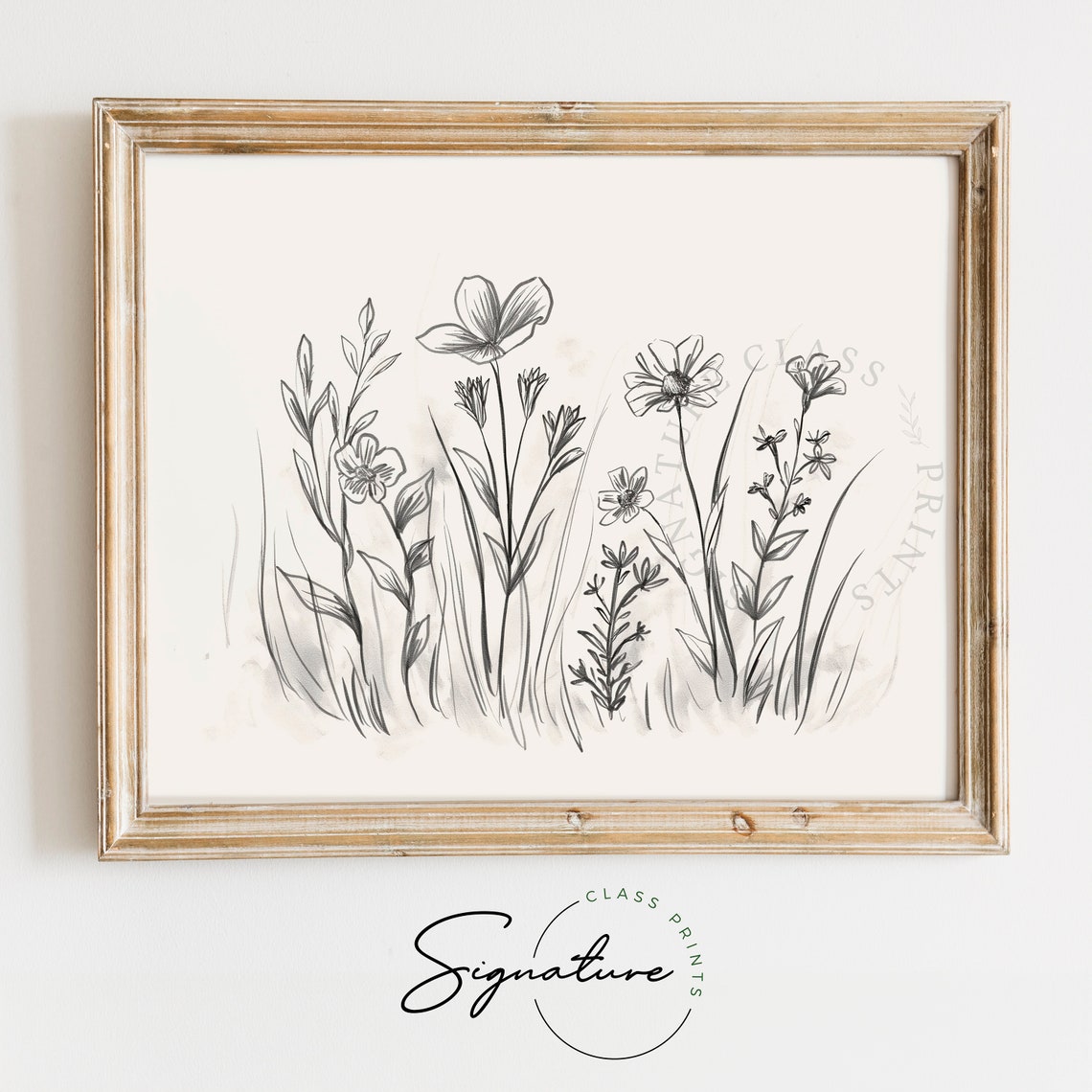 Wildflower Pencil Sketch Black and White Botanical Line Drawing Poster