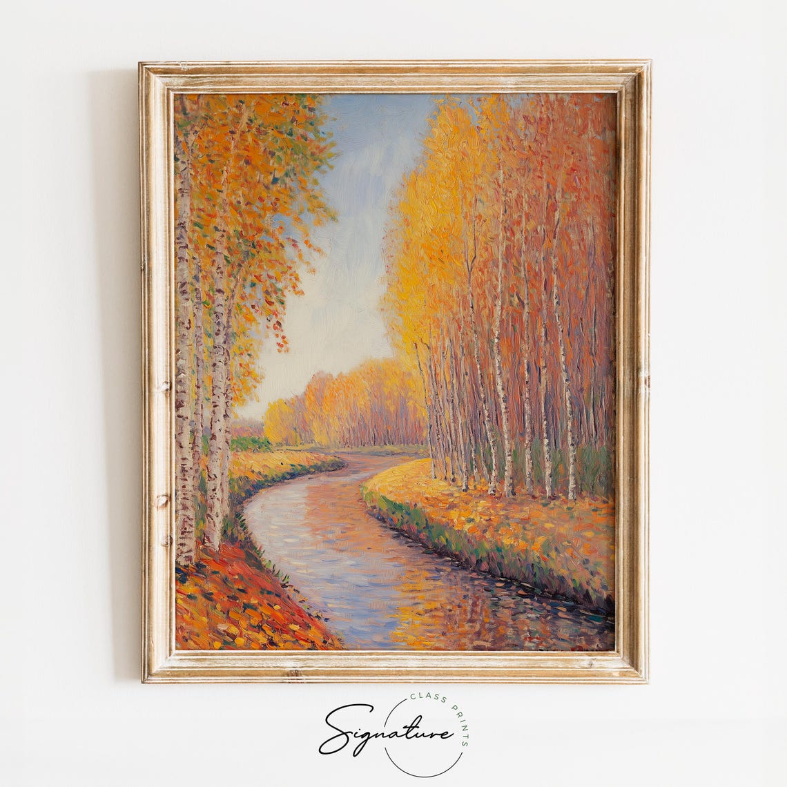 Tall Birch Trees Lining a Meandering River in Glorious Autumn Poster