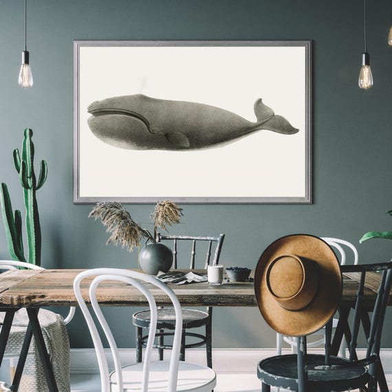 Vintage Whale Illustration Nautical Kids Print Ocean Wall Art Maritime Nursery Decor Classic Sea Animal Poster