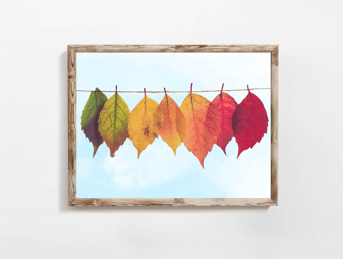 Autumn Leaves Gradient String Blue Sky Fall Photography Poster