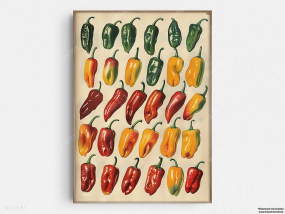 Spicy Pepper Spectrum Arrangement Original Midcentury Modern Minimalist Wall Art