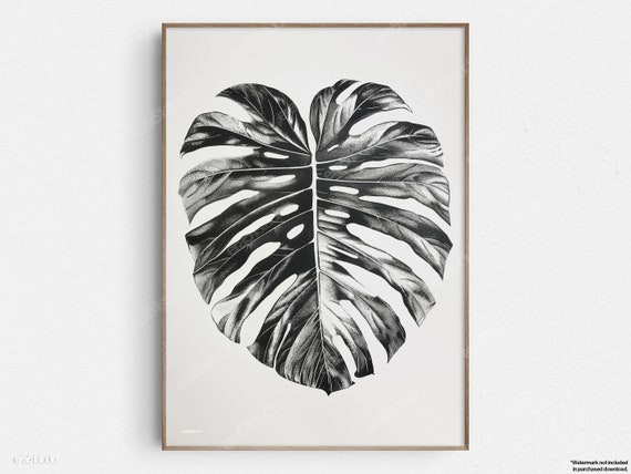 Black and White Monstera Leaf Art Print