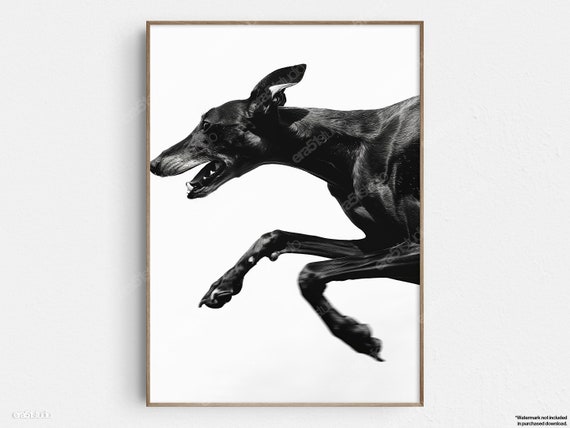Black And White Running Dog Greyhound Original Midcentury Modern Minimalist Wall Art