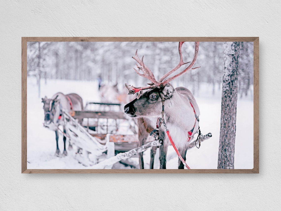 Reindeer Sleigh Christmas Snow Art Print