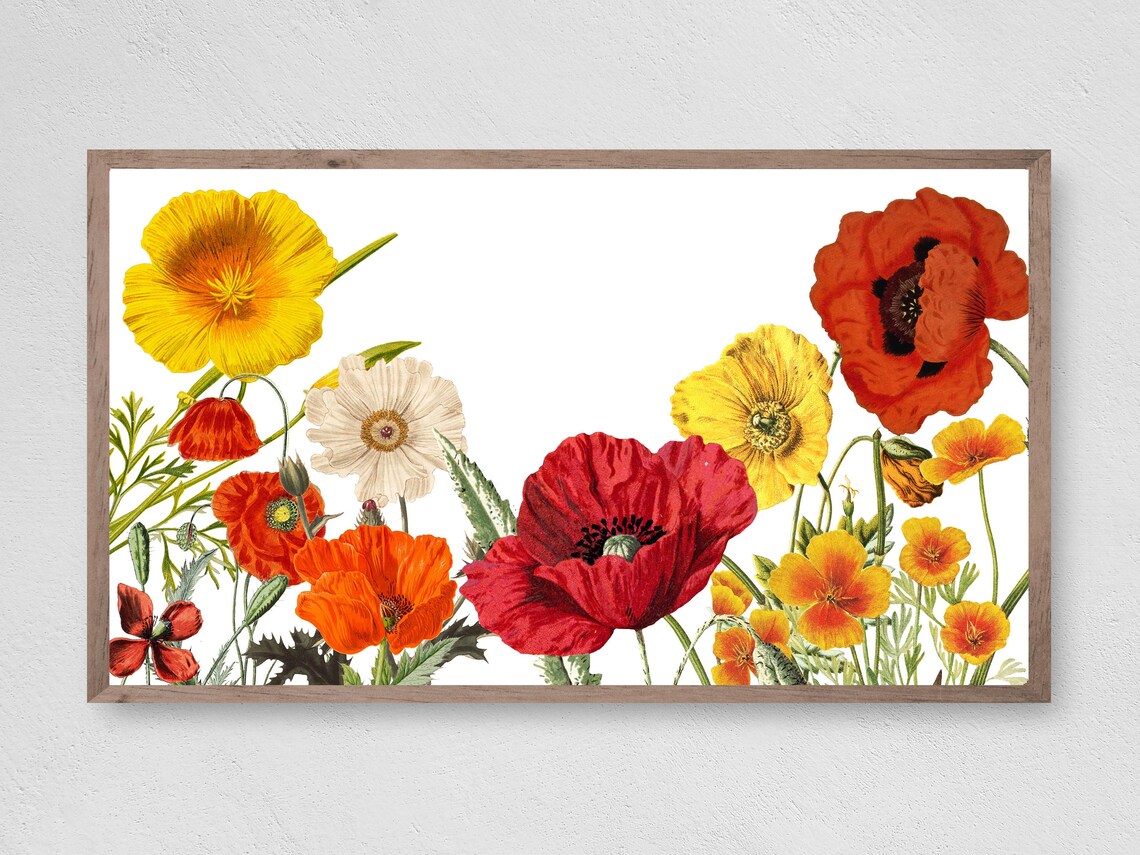 Vintage Poppies Art Print, Retro Floral Decor