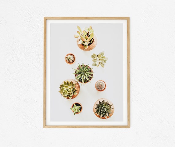 Succulents Beach Wall Decor Beach Print Hawaii Print Succulent Print Garden