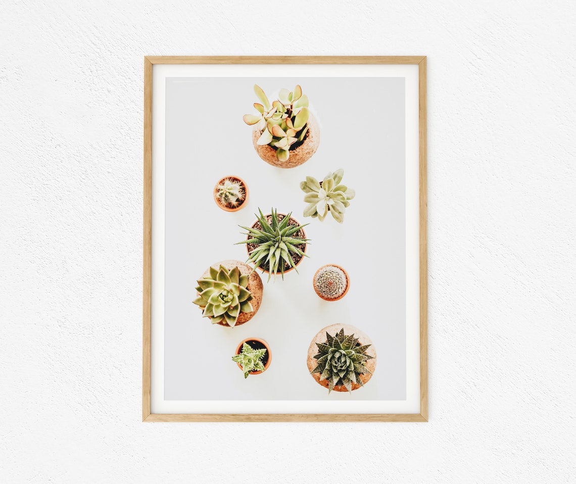 Succulents Beach Wall Decor Beach Print Hawaii Print Succulent Print Garden