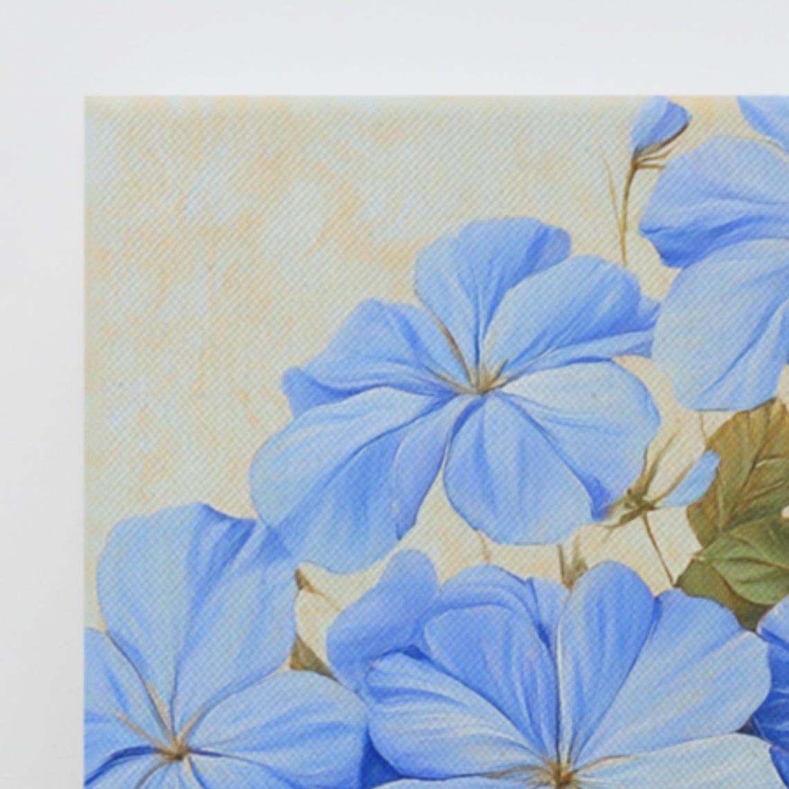 Blue Plumbago Leadwort Blossoms Cream Botanical Floral Poster - Image 3